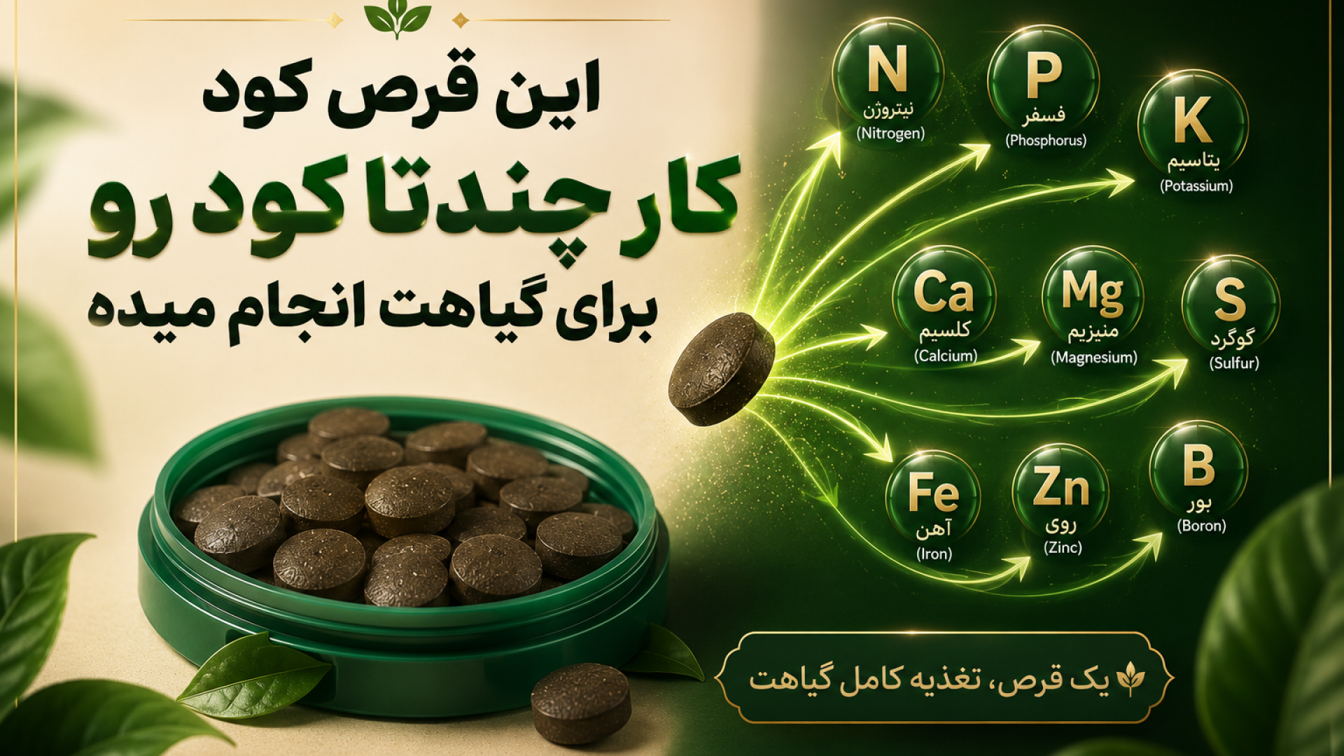 سرزمین گیاه